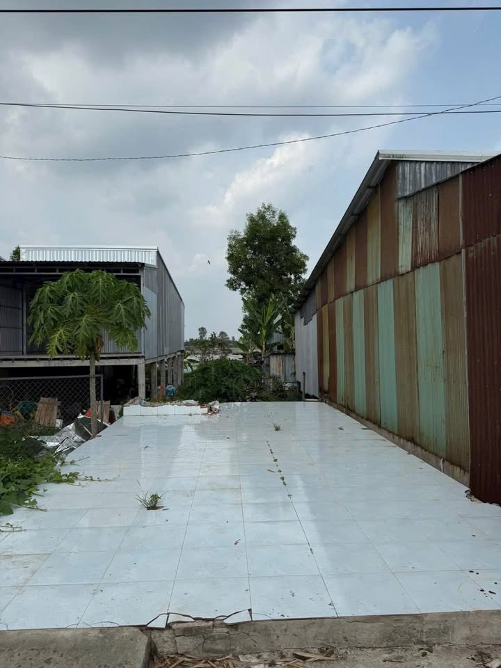 Đất thổ cư Cần Đăng, Châu Thành, An Giang 167m² giá 520 triệu - Đầu tư sinh lời ngay!