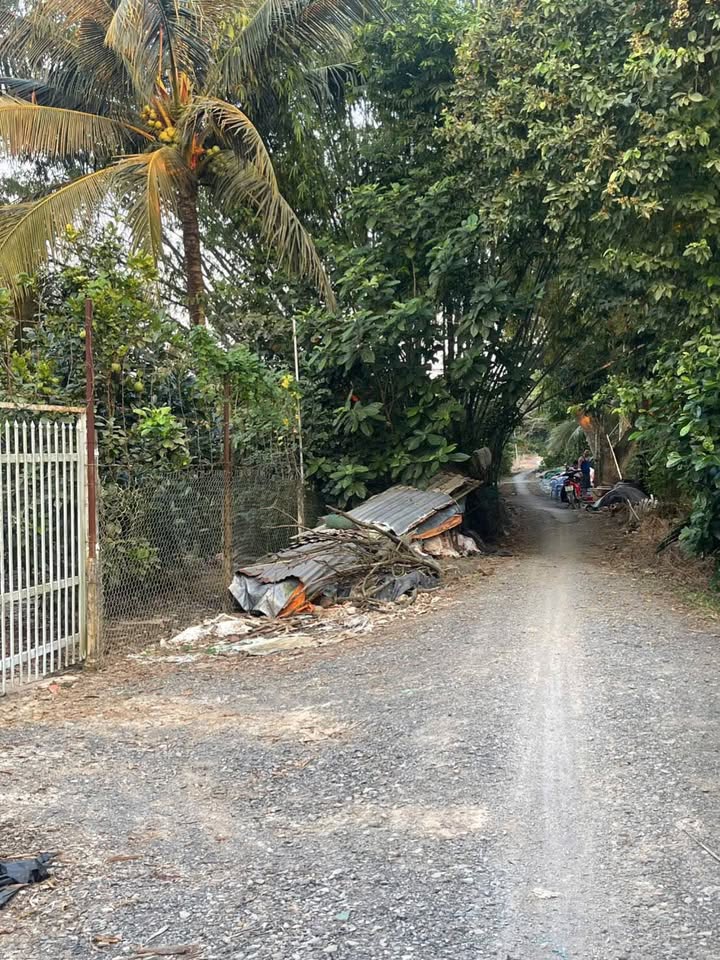 Mảnh vườn 600m² tại Long Xuyên, An Giang - Giá chỉ 2.25 tỷ - Đầu tư sinh lời ngay!