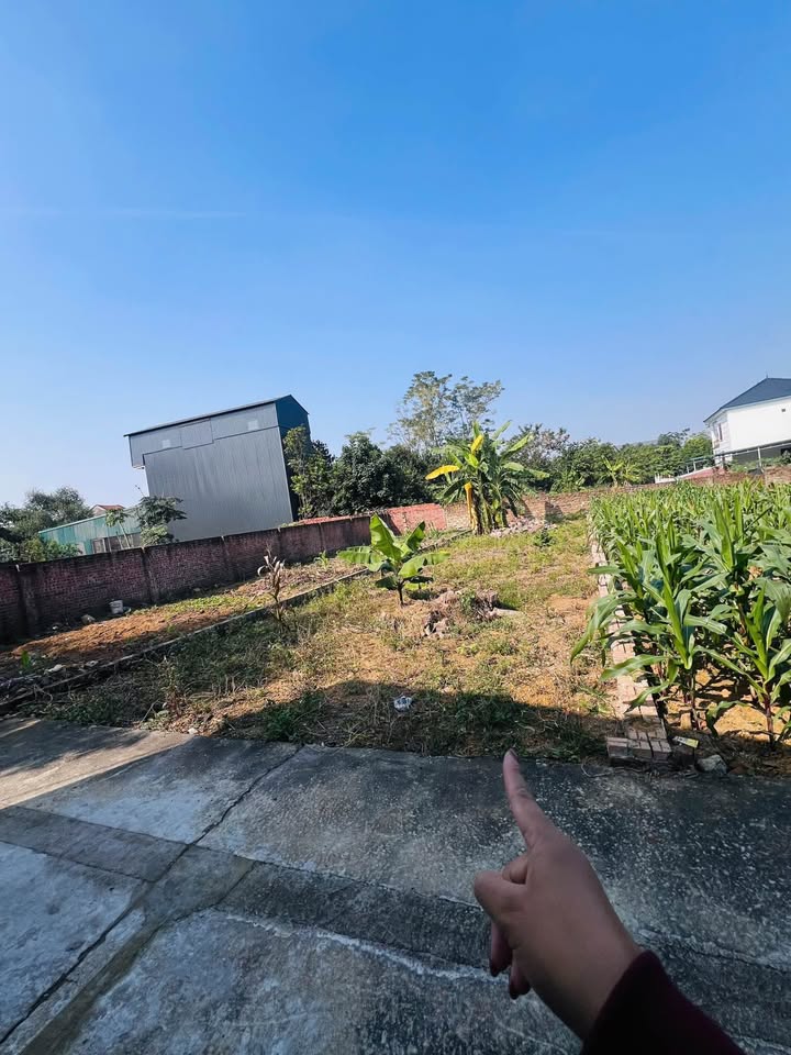 Đất nền Thạch Thất Tân Xã 147,9m² giá thương lượng - Cơ hội đầu tư sinh lời!