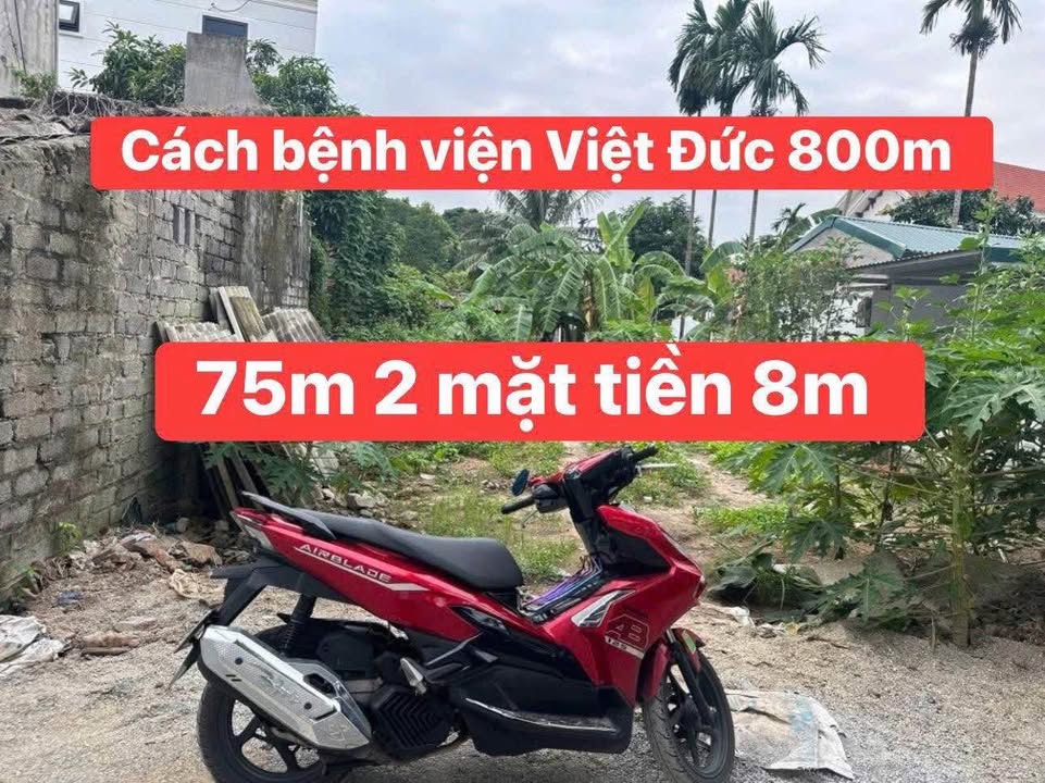 Đất nền chính chủ Tân Liêm, 75m² giá chỉ 2.7 tỷ - Đầu tư sinh lời tốt!