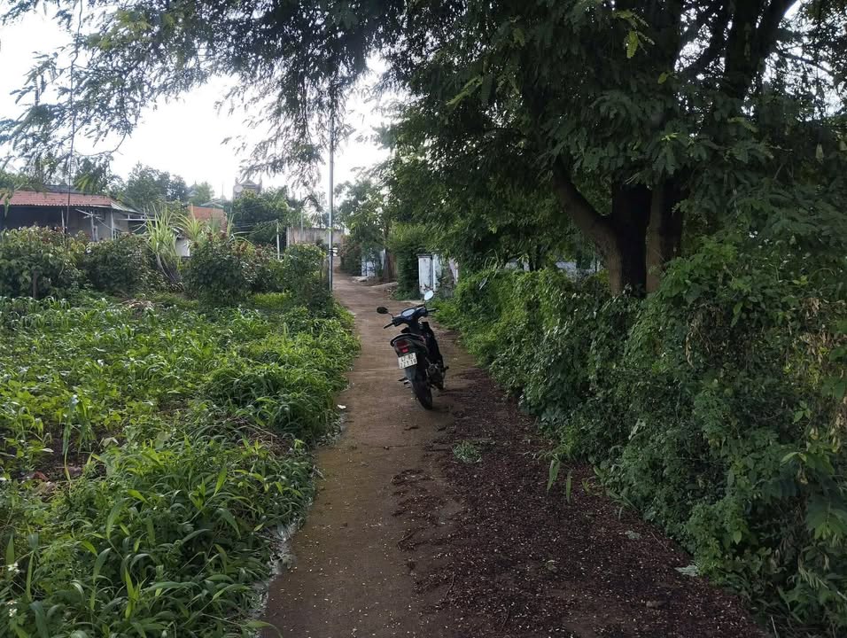 Đất Hòa Khánh Buôn Ma Thuột 600m² giá 1.6 tỷ - Đầu tư sinh lời ngay!