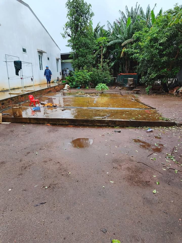 Đất thổ cư phường Tân Hoà, Buôn Ma Thuột 195m² giá 2.7 tỷ - Cơ hội đầu tư sinh lời!