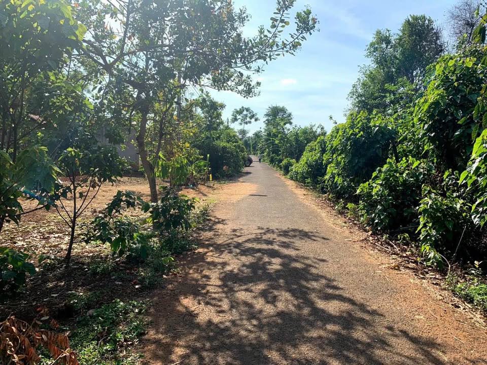 Đất thổ cư chính chủ tại phường Ea Kao, Buôn Ma Thuột, 120m² giá chỉ 700 triệu!