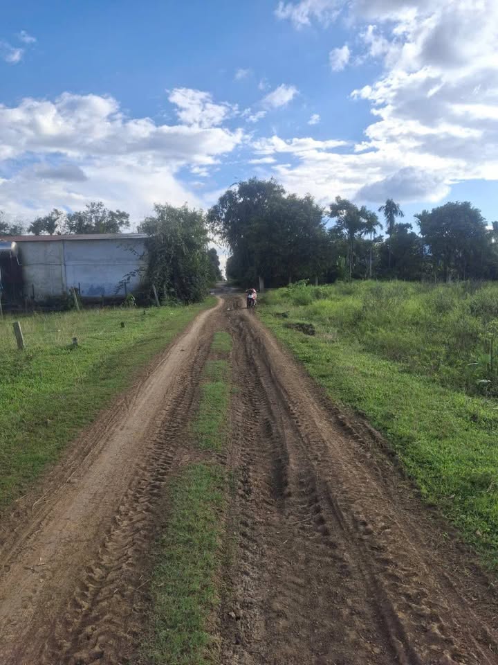 Đất Buôn Ta Ra Xã Hòa Đông 252m² giá 690 triệu - Sổ hồng chính chủ, thổ cư 100%!