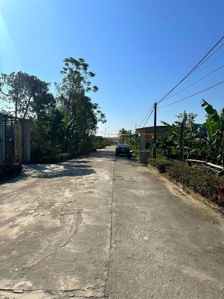 Đất nền Tân Đức, Tân Thành, Yên Thành 200m² - Đầu tư sinh lời ngay hôm nay!