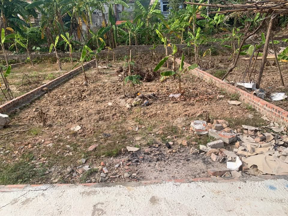 Đất đẹp Phật Tích Tiên Du 75m² giá 2 tỷ - Tiềm năng đầu tư hấp dẫn!