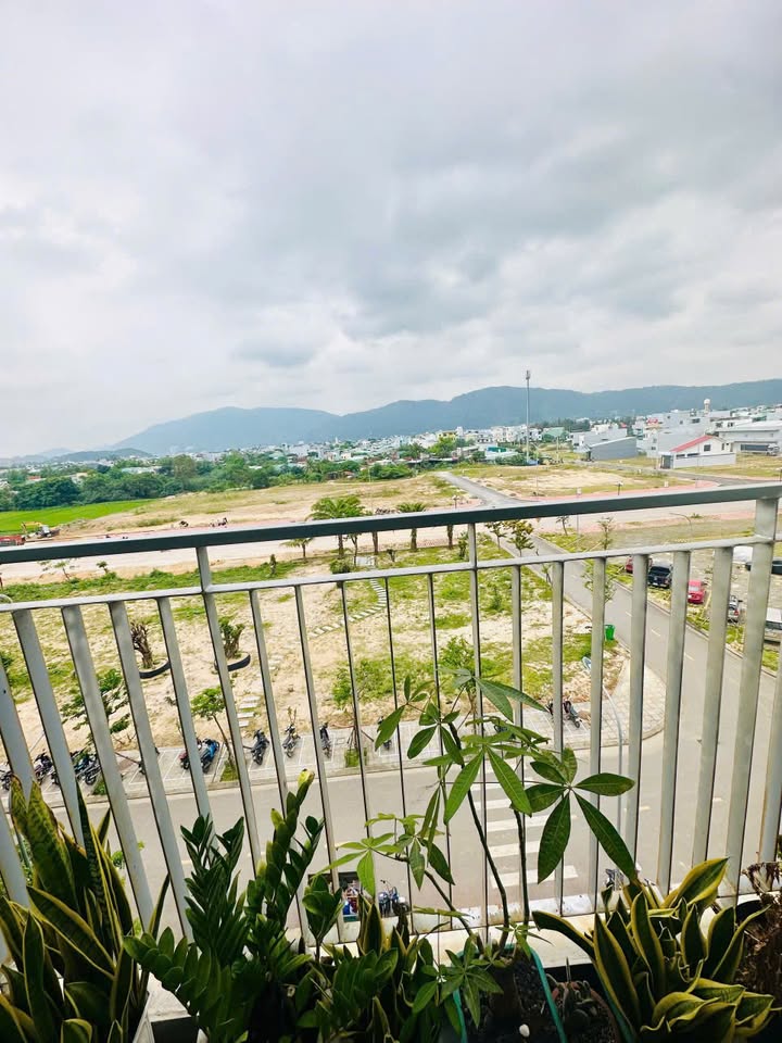 Căn hộ Ecohome Nhơn Bình 60m² giá 820 triệu - Sẵn sàng dọn vào ở ngay!