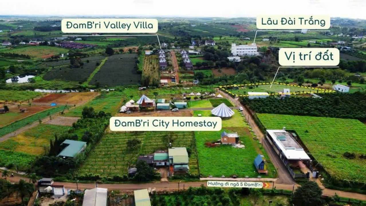 Đất 2 mặt tiền Lý Thái Tổ, Bảo Lộc 5679m² giá 15 tỷ - Đầu tư sinh lời ngay!