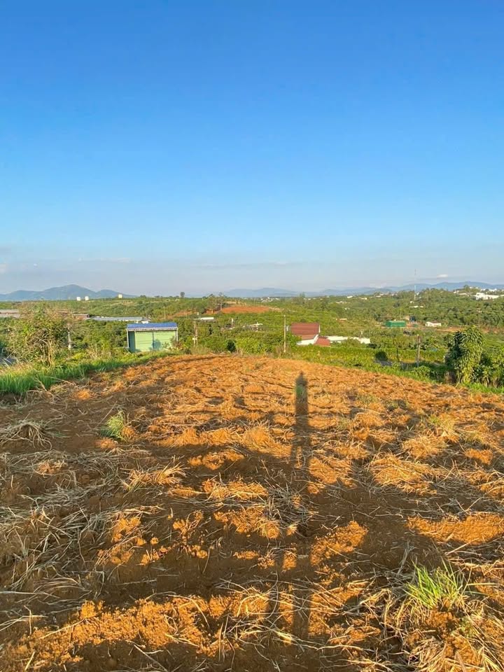 Đất 2 mặt tiền liên xã Lộc An 3000m² giá 5.6 tỷ - Phù hợp làm kho xưởng, nhà nghỉ dưỡng!