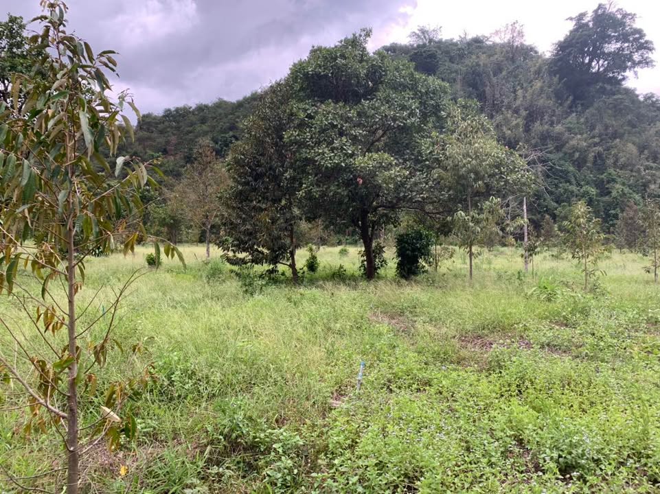 Đất Farm 1HA2 xã Đoàn Kết Đạ Huoai 2.1 tỷ - Cơ hội đầu tư hấp dẫn!