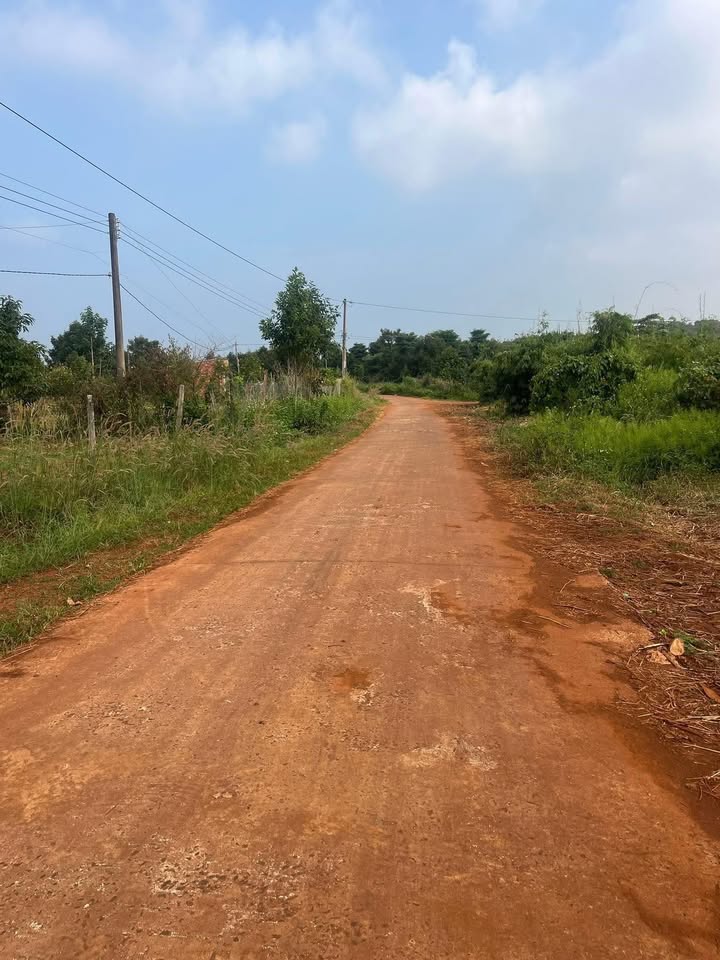 Đất nền Nghĩa Trung Bù Đăng 294m² giá 100 triệu - Sổ đỏ chính chủ, chốt lẹ!