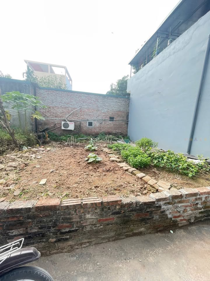 Đất thổ cư Tô Khê, Gia Lâm 53m² giá 3 tỷ - Sổ hồng chính chủ!