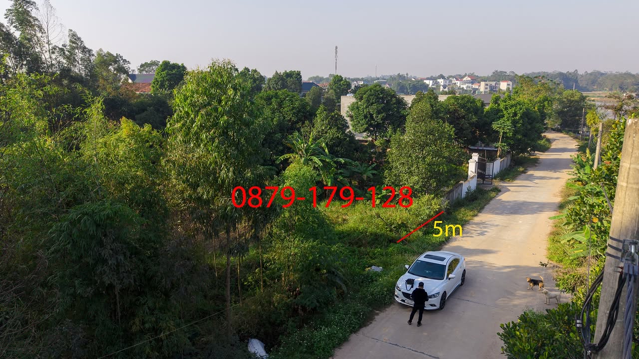 Đất nền Hy Cương, Việt Trì 174m² - Tiềm năng sinh lời vượt trội!