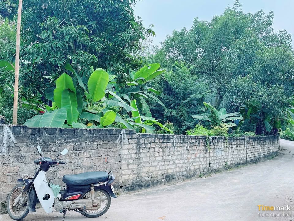 Đất nền khu 5 mới Thanh Đình 93.3m² giá thỏa thuận - Sổ đỏ chính chủ!