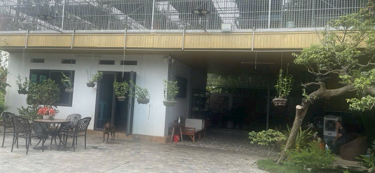 Đất đẹp Vân Phú, Việt Trì 279m² giá 12.555 tỷ - Đầu tư sinh lời hấp dẫn!