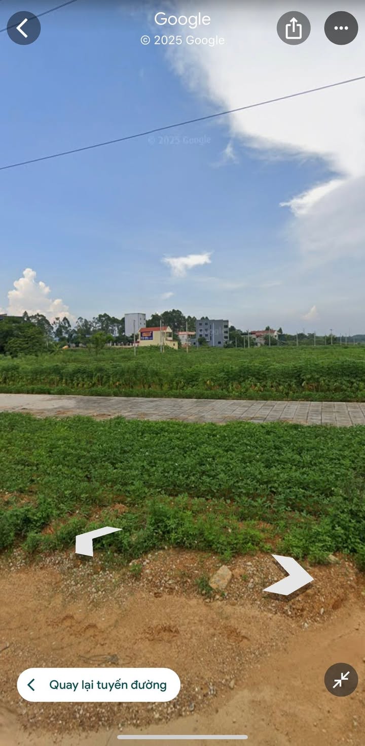 Đất đấu giá Tiên Kiên Lâm Thao 100m² giá chỉ 900 triệu - Cơ hội đầu tư hiếm có!