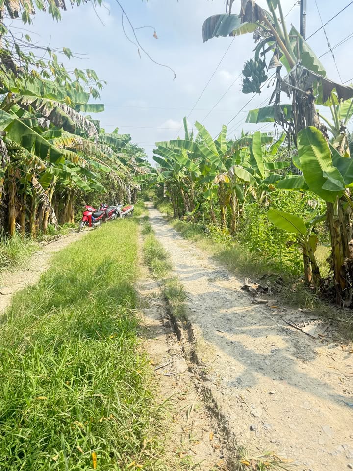 Đất thổ cư 300m² Phước Hậu, Vĩnh Long - Giá chỉ 4.626 tỷ, sổ hồng chính chủ!