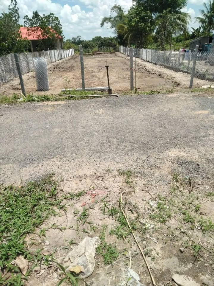 Bán đất nền Tân Nhuận Đông 508m² giá 1.25 tỷ - Đầu tư sinh lời ngay!