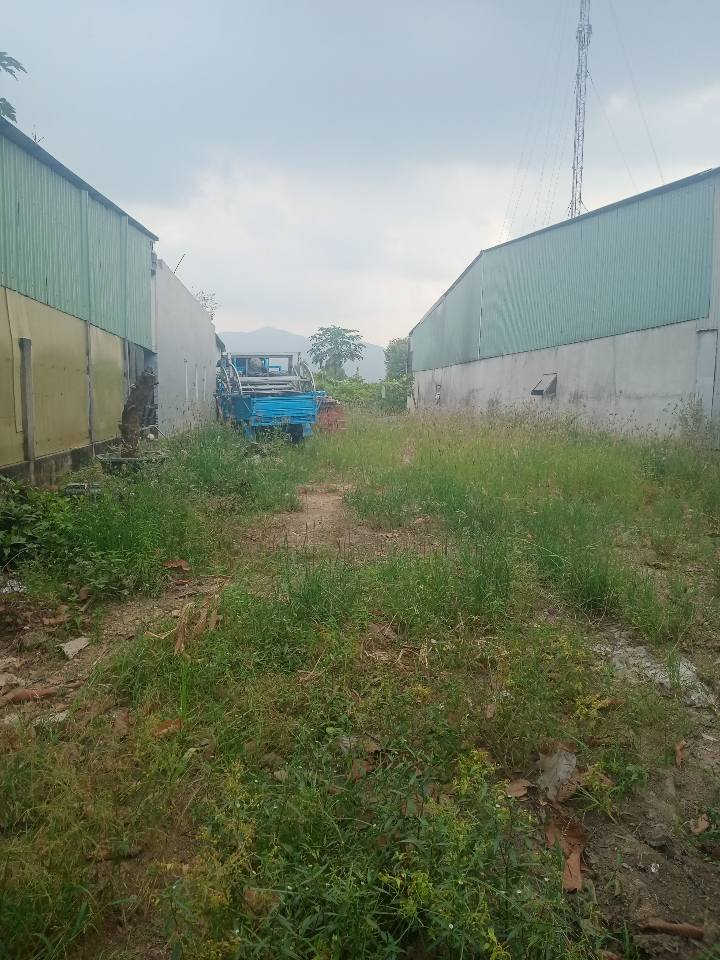 Lô đất mặt tiền đường số 1, xã Châu Pha, TP Phú Mỹ 395m² - Vị trí lý tưởng cho kinh doanh