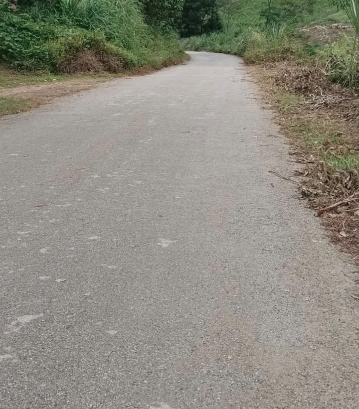 Đất thổ cư 400m² tại Dân Tiến, Võ Nhai - Tiềm năng làm kho xưởng!