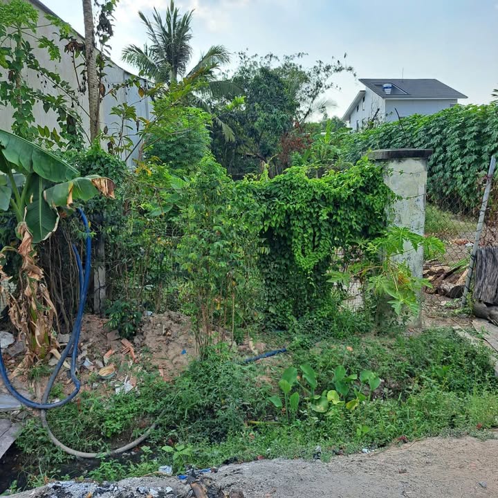 Đất mặt tiền đường bê tông tại phường Thanh Điền, Tây Ninh, 260m² - Giá chỉ 2.6 tỷ!