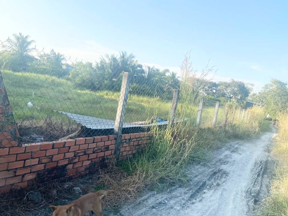 Đất nền 1700m² Đức Hòa Long An - Pháp lý rõ ràng, giá đầu tư chỉ 8.25 tỷ!