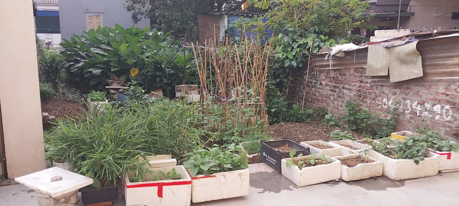 Lô đất Vân Tra, An Đồng 81m² giá 2.187 tỷ - Đầu tư sinh lời hấp dẫn!