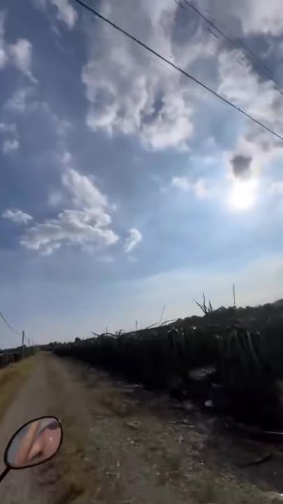 Đất nông nghiệp 130.000m² Xuân Thọ giá 4.32 tỷ - Đầu tư sinh lời ngay!