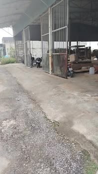 Kho xưởng 375m² mặt tiền 15m - Đầu tư sinh lời tại Đông Thanh chỉ 3 tỷ!