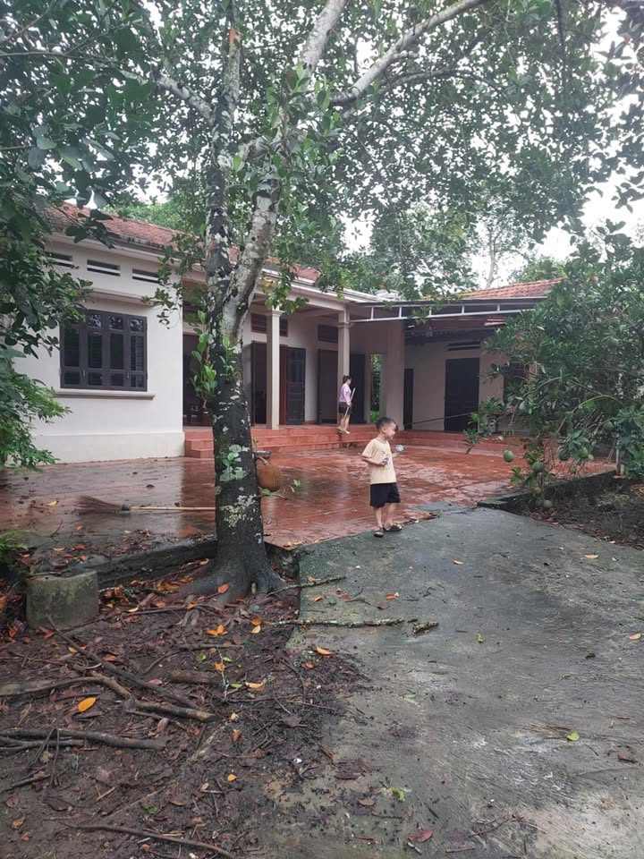 Nhà cho thuê tại phường Thanh Mỹ, Sơn Tây - Giá thỏa thuận hấp dẫn!