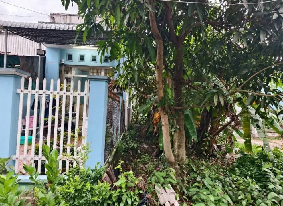 Đất tặng nhà cấp 4 Long Xuyên 242m² - Cơ hội đầu tư hấp dẫn!