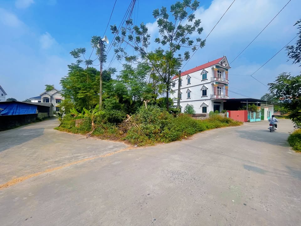 Đất nền Hùng Sơn Hiệp Hòa 200m² giá chỉ 1,1 tỷ - Cơ hội đầu tư hiếm có!