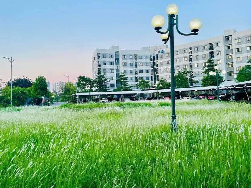 Chung cư Hưng Thịnh Kiến Hưng 56,4m² giá 3,12 tỷ - Sổ đỏ chính chủ, bàn giao ngay!