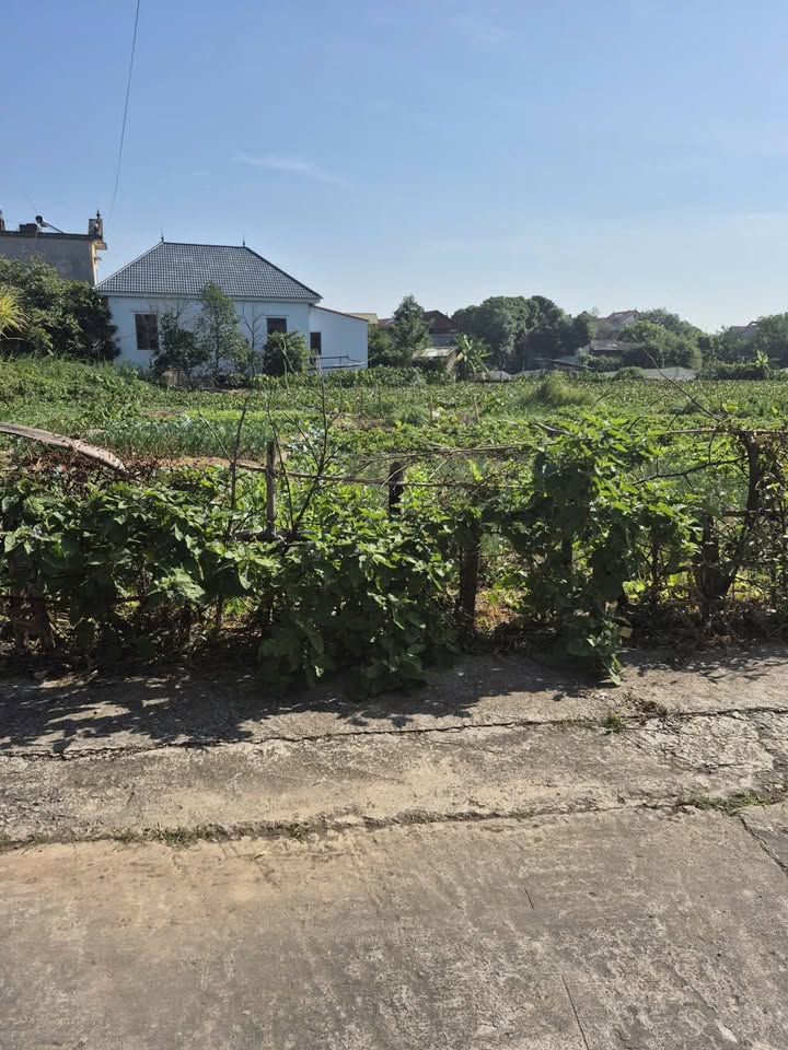 Đất nền Bồng Lai, Quế Võ 84m² giá 1.55 tỷ - Cơ hội đầu tư tuyệt vời!