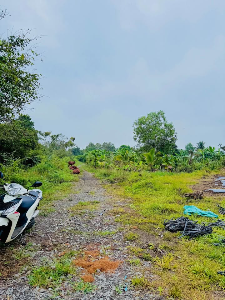 Đất nền Phú Vinh, Đồng Nai 9800m² giá chỉ 2.5 tỷ - Pháp lý rõ ràng!