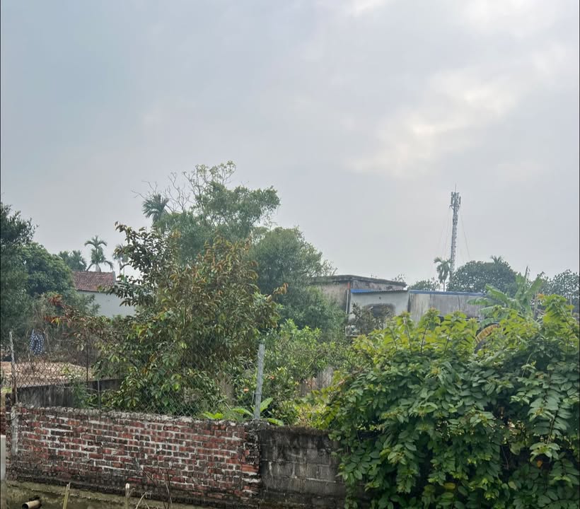 Đất nền Nam Vân 207m² giá 1.75 tỷ - Phù hợp xây nhà vườn hoặc xưởng!