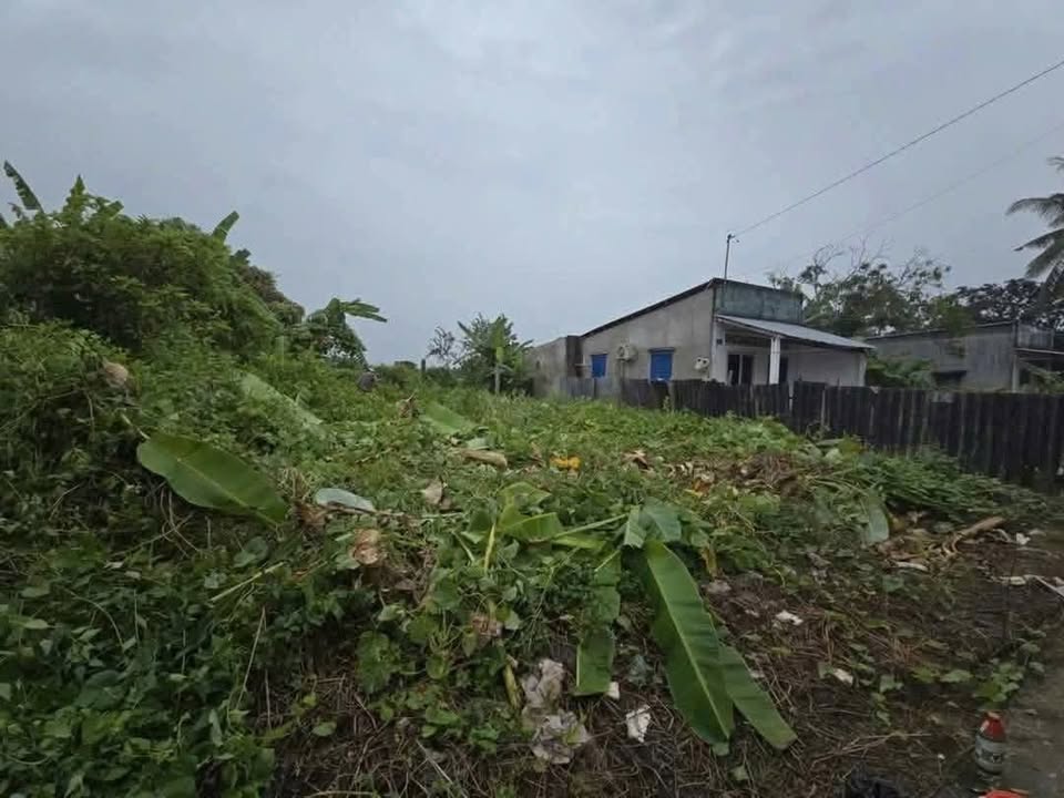 Bán đất Hẻm 623 Trần Hưng Đạo 115m² giá 450 triệu - Cơ hội đầu tư tuyệt vời!