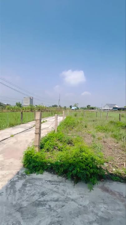 Đất nền Phong Nẫm Phan Thiết 111m² giá 795 triệu - Sổ hồng chính chủ sẵn có!