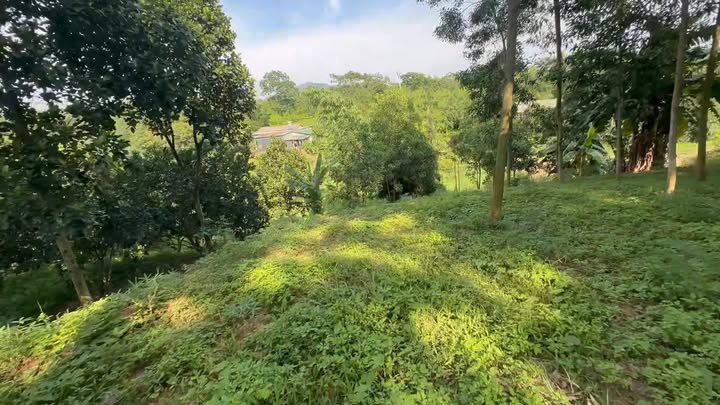 Đất thổ cư 623m² tại Quốc lộ 70B, Đoan Hùng, Phú Thọ - Giá chỉ 1.75 tỷ!