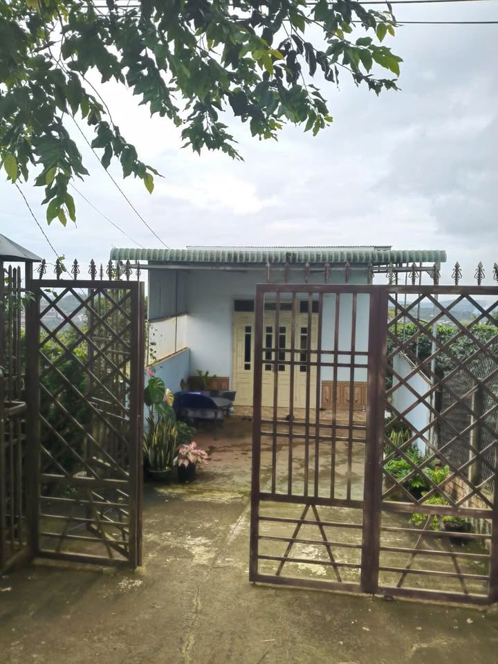 Đất thổ cư 1,3 xào mặt đường nhựa 724, Lâm Hà - Giá 2.6 tỷ, thương lượng ngay!