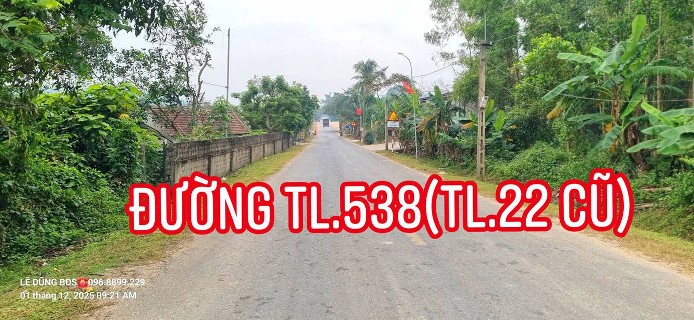 Đất mặt tiền đường TL.538 Hùng Thành 240m² giá 1 tỷ - Cơ hội đầu tư hiếm có!