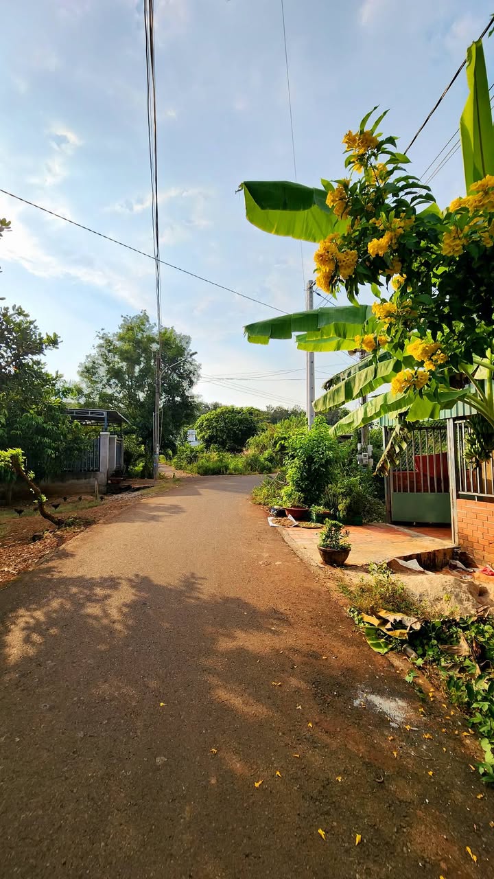 Đất nền Long Tân 217m² - Mặt tiền kinh doanh thuận lợi gần khu công nghiệp