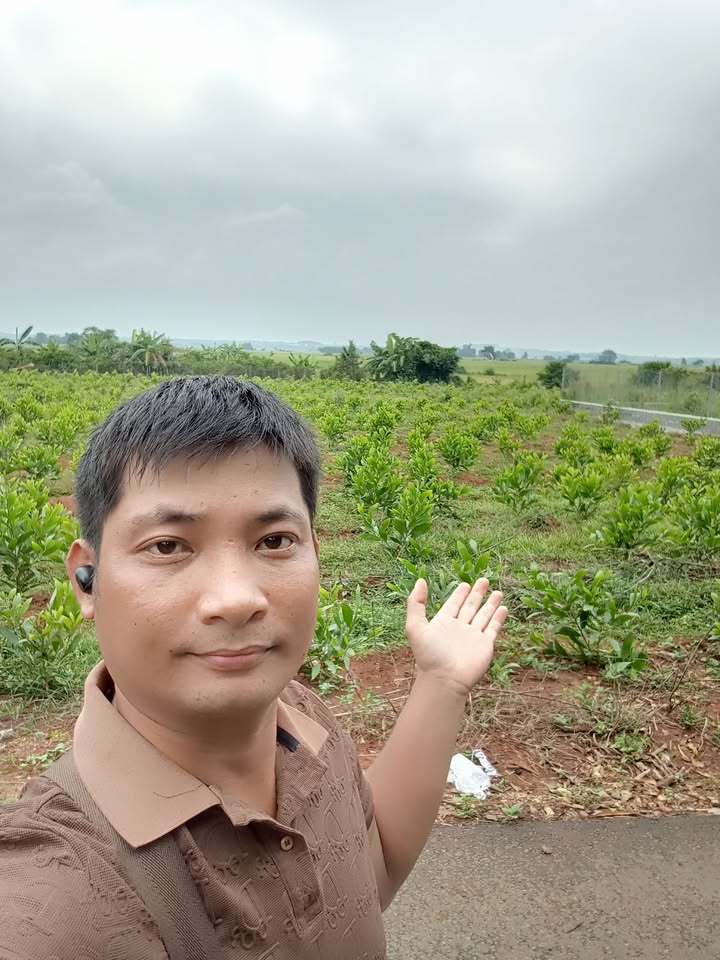 Đất nền Hương Lộ 3, Long Phước, Bà Rịa 330m² giá 1.61 tỷ - Không gian sống lý tưởng!