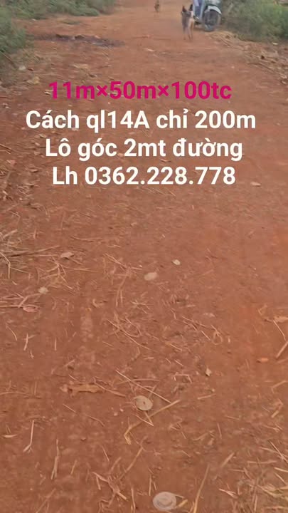 Đất nền lô góc 550m² tại Ia Le, Chư Pưh - Giá 3.3 tỷ, cơ hội đầu tư tuyệt vời!