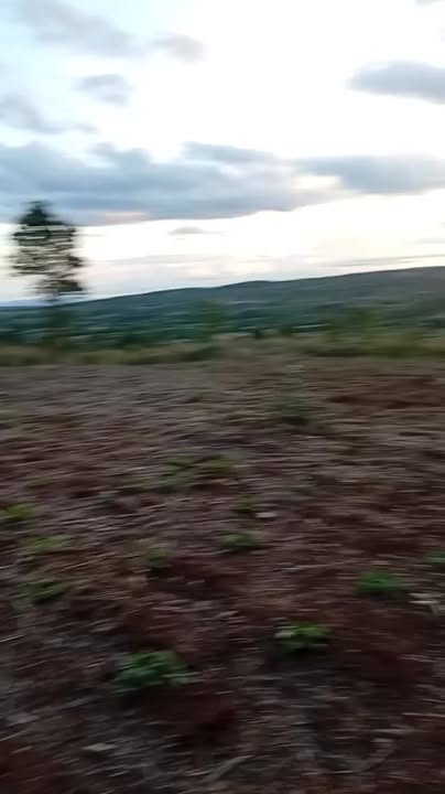 Đất Farm 5ha tại xã Kon Thụp, Mang Yang, Gia Lai - Đất đỏ bazan giá 3.1 tỷ!