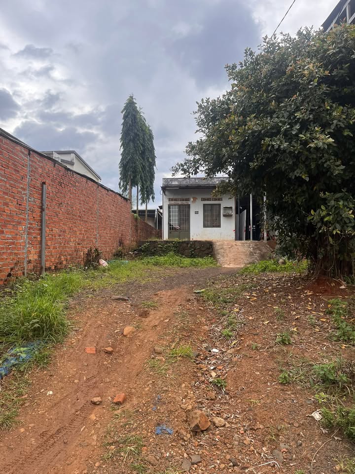 Đất nền Đắk R'La Đắk Mil 200m² giá 200 triệu - Tiềm năng tăng giá mạnh!