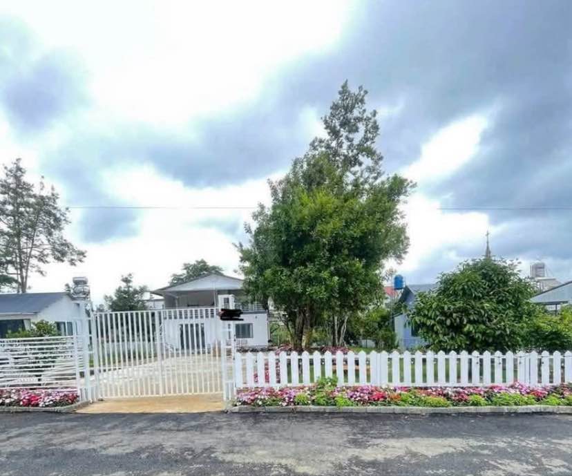 Nhà hẻm Lữ Gia, Bảo Lộc 536m² giá 3.6 tỷ - Sân vườn đẹp, gần tiện ích!