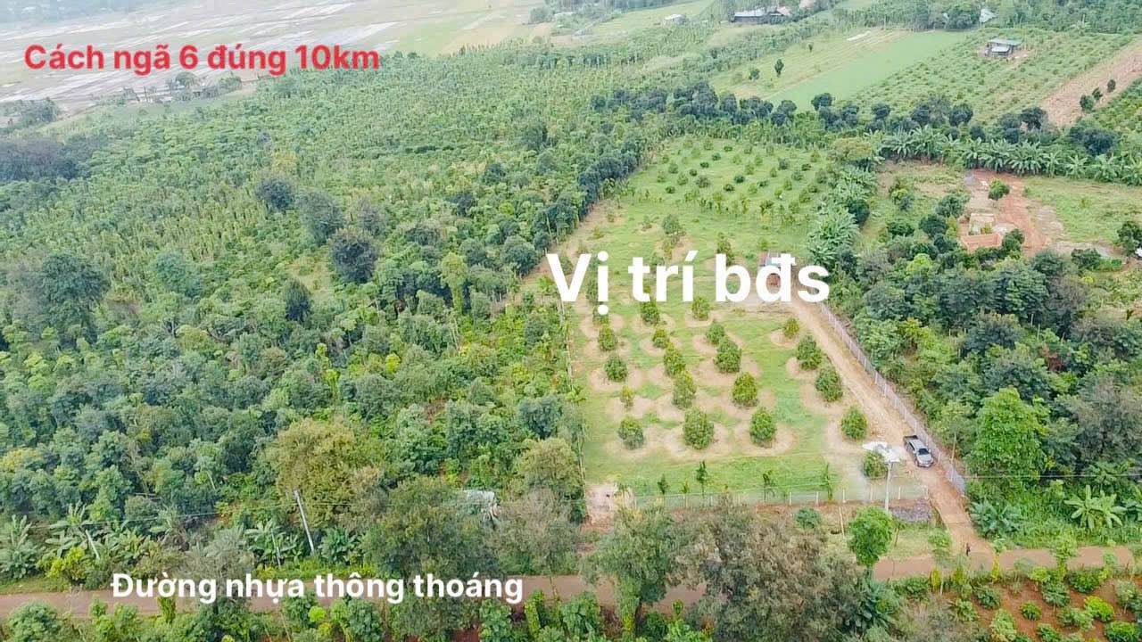 Đất Nông Nghiệp Thành Nhất BMT 7300m² giá 800 triệu - Khu vực phát triển thuận lợi!