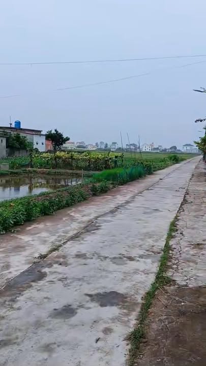 Đất ở Giao Hải 142m² giá 1.035 tỷ - Khu vực phát triển mạnh mẽ!