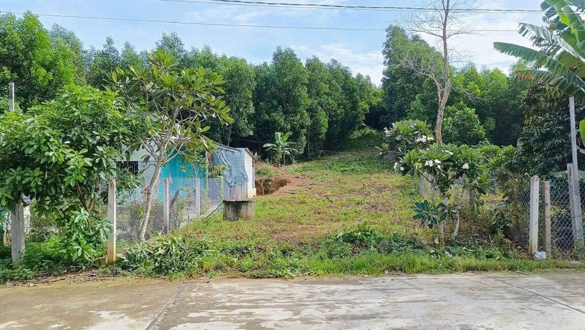 Đất thổ cư Bắc Khánh Vĩnh 790m² giá 649 triệu - Đầu tư sinh lời ngay!